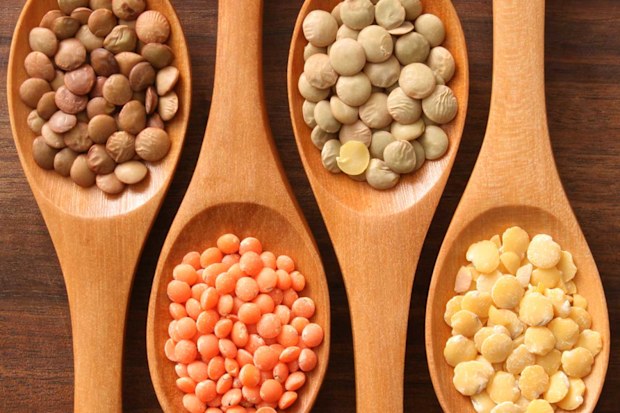 Lentils in all their shades