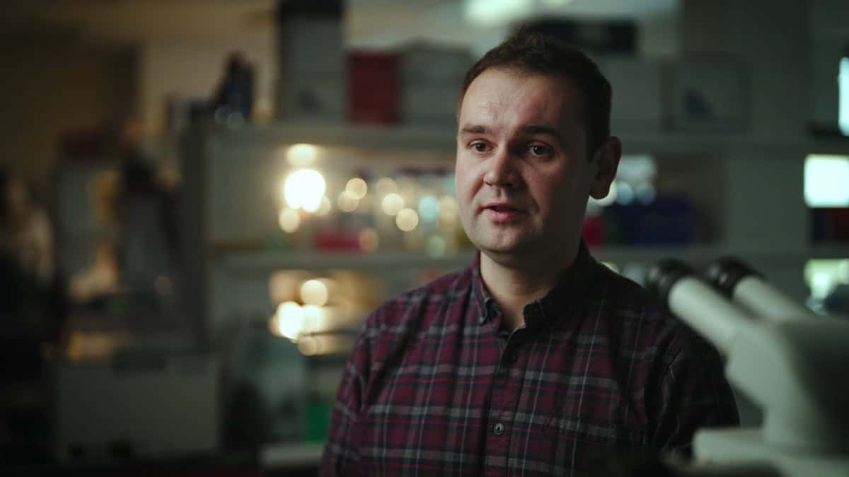X-ray velocimetry study earns Ronan Smith the PMB Early Career Researcher Award – Physics World