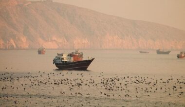 Hormuz will never really be open again