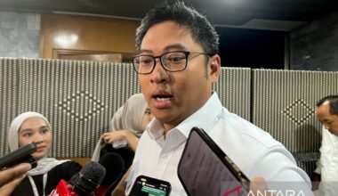 One-stop CPO exports via DSI to guard state revenues: Deputy minister