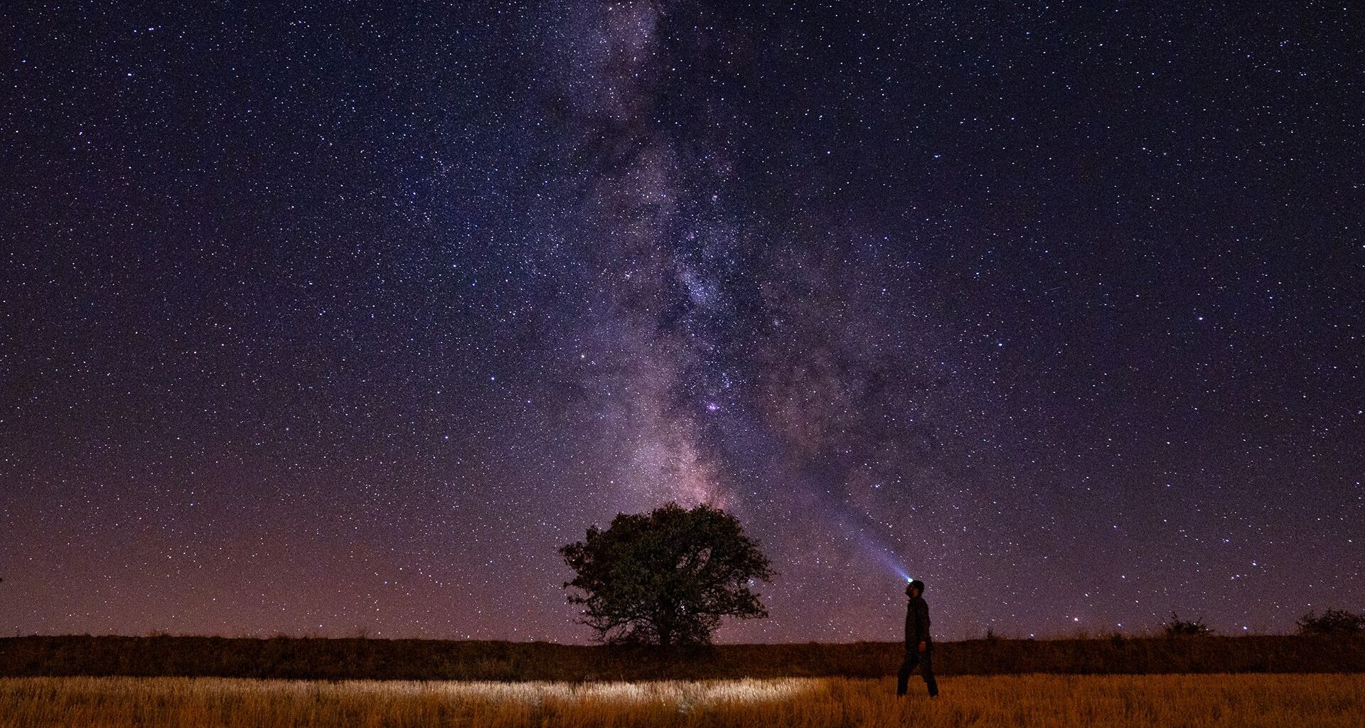 A streak of the Milky Way galaxy is seen over a silhouetted tree in the purple night sky