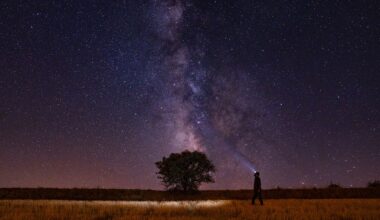 A streak of the Milky Way galaxy is seen over a silhouetted tree in the purple night sky