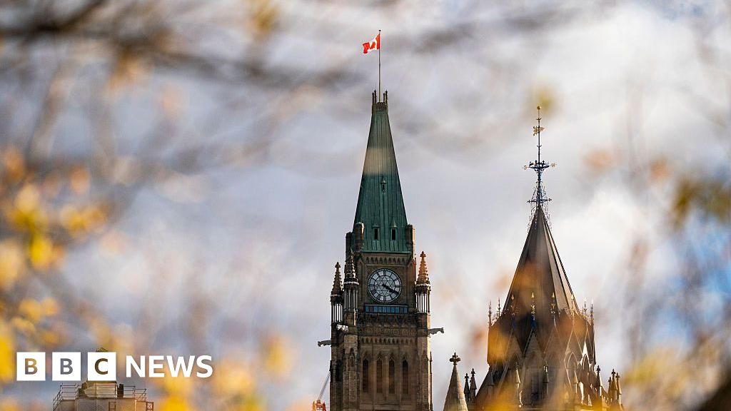 Canada should 'indefinitely exclude' people with mental illness from assisted dying, report says - BBC