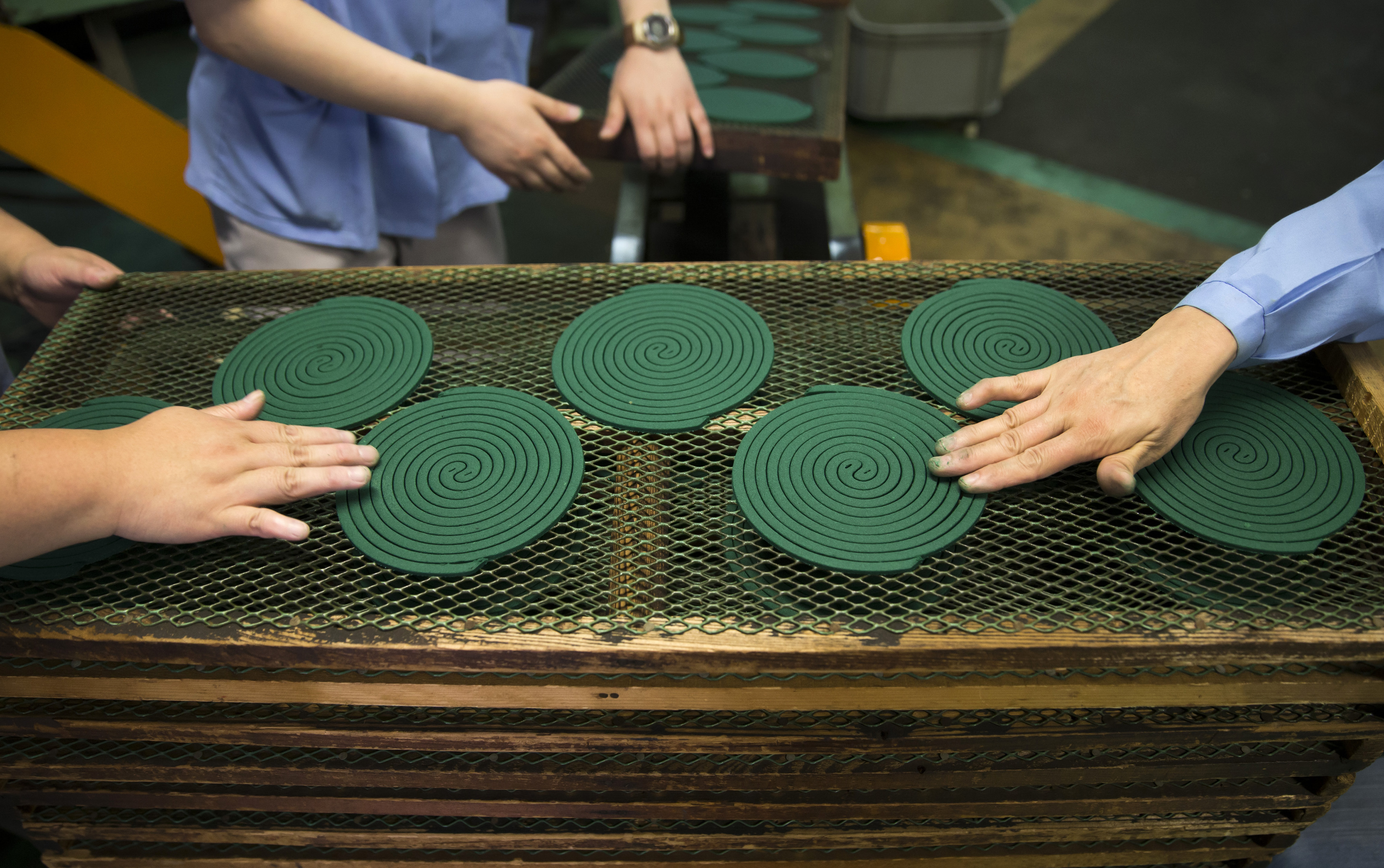 green mosquito coils produced in Japanese factory