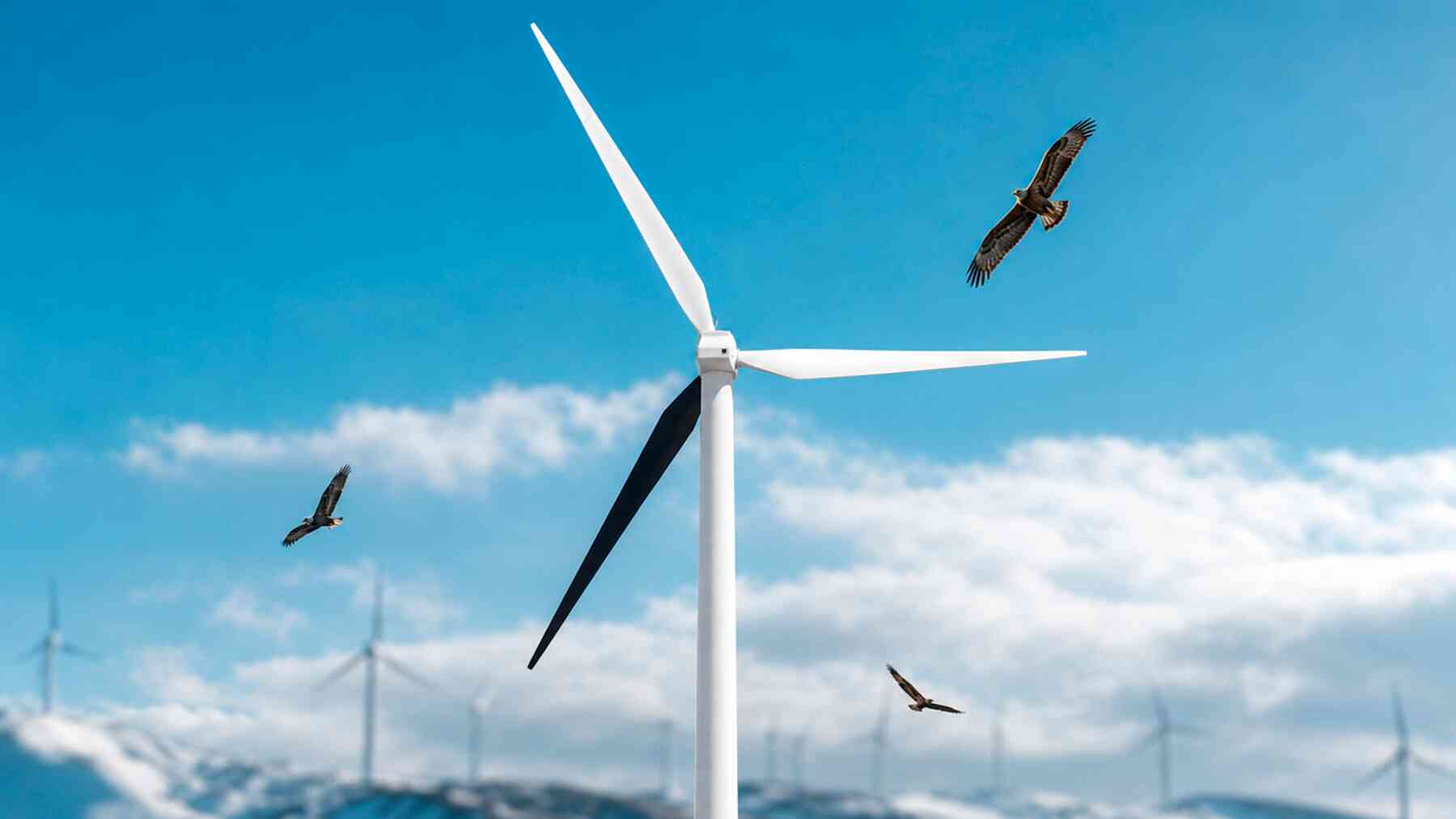 Wind