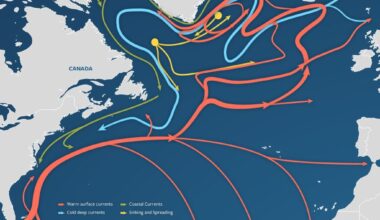 AMOC And The Planet-Wide Impact Of Ocean Currents