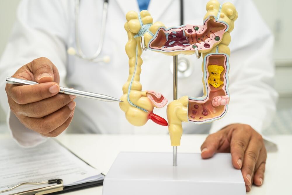 The appendix (Photo: Shutterstock) תוספתן