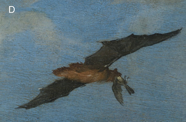 A 17th-Century Painting Has Revealed Surprising Bird Eating Habits From Bats