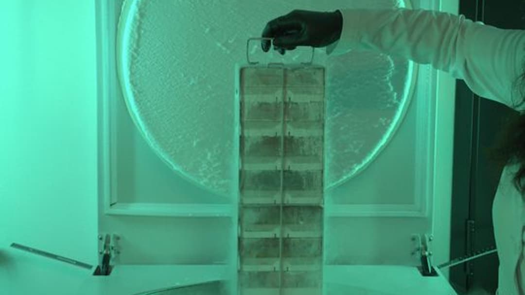 The Plan To Collect and Save the DNA of Everything on the Endangered Species List