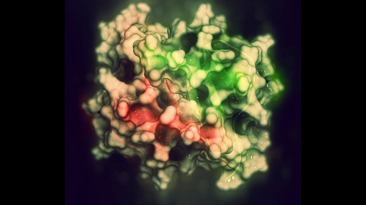 Aging Mice Became Stronger When Scientists Boosted One Protein : ScienceAlert