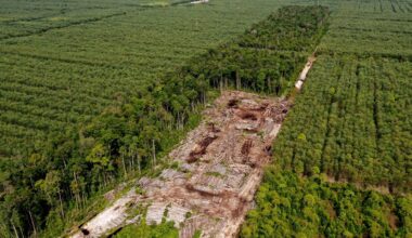 Pulp and paper giant APRIL adds major deforesters as suppliers after revising sustainability policy