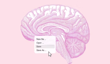 The midlife habits that could make or break your brain health long-term