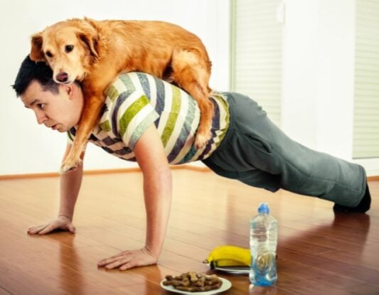 Exercising using dog as weight for push ups 