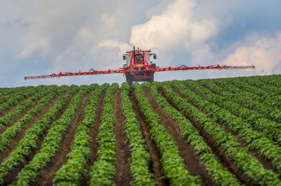 A farmer in Dürmentingen-Heudorf, Germany, sprays fungicide on his potato field. Fungicides may be making it harder for bees to recognize floral odors.