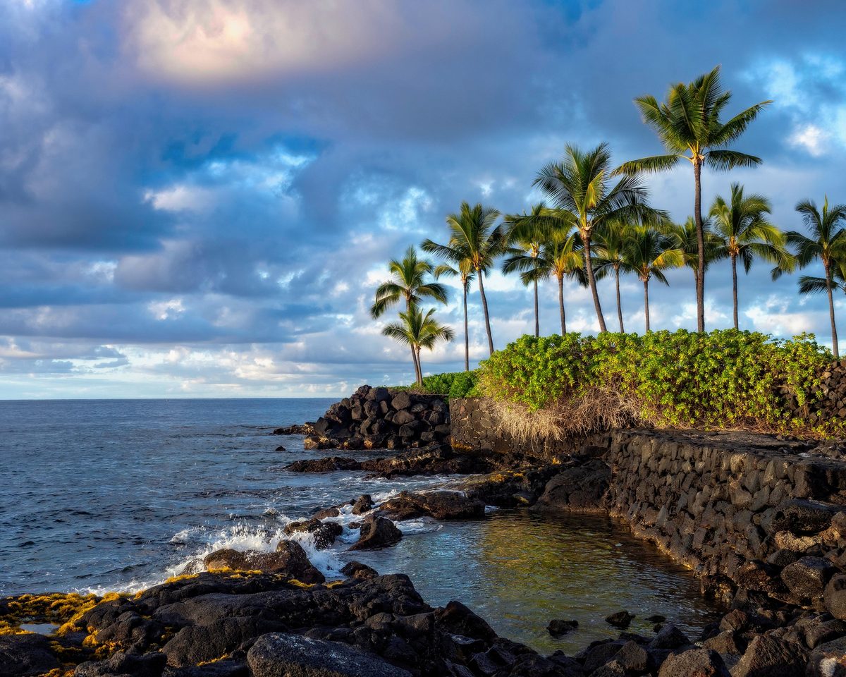 A lava covered seashore and palm trees on a tropical island