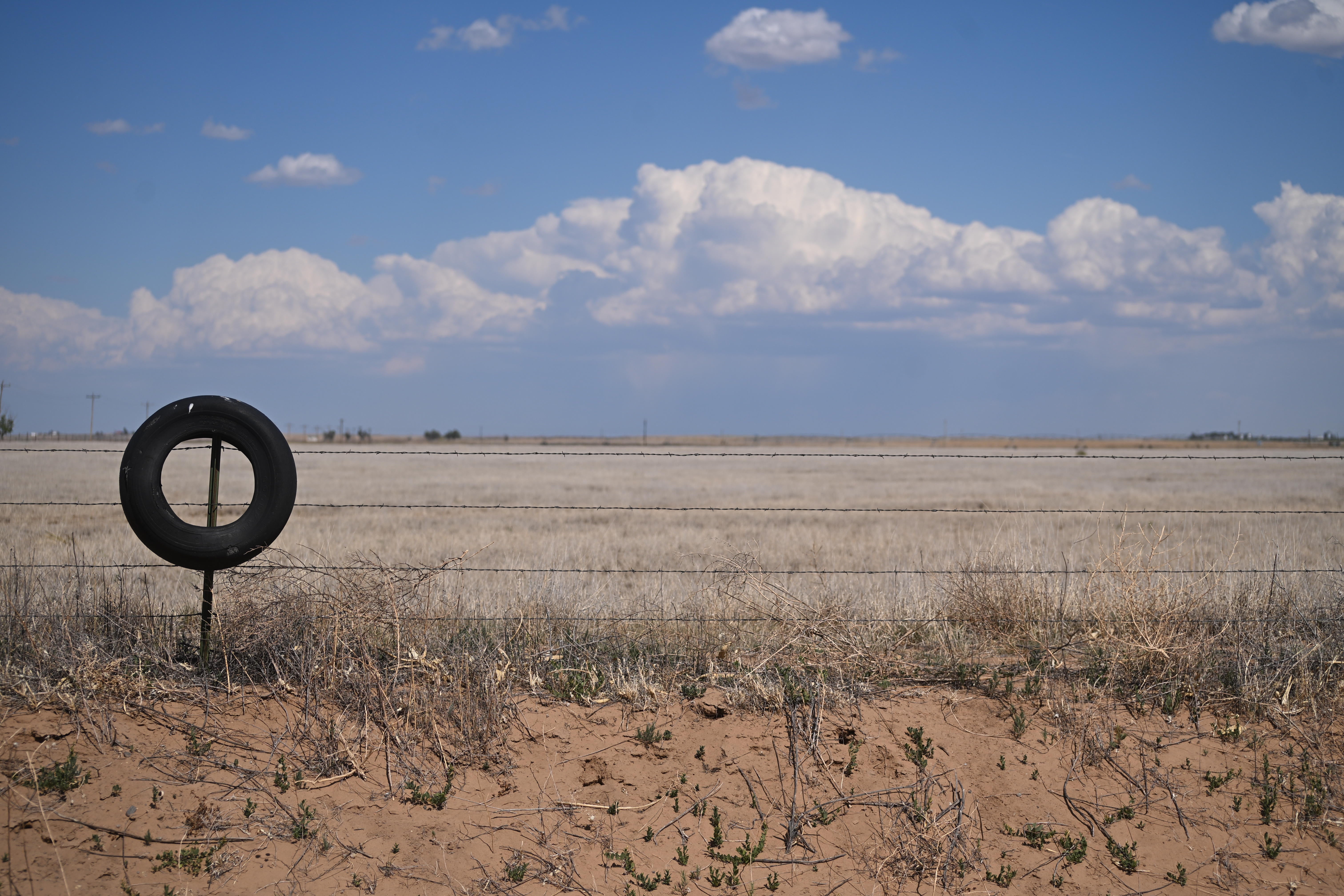 A Colorado homeowners’ association has given some members violations for brown grass amidst a state-wide drought, according to a report