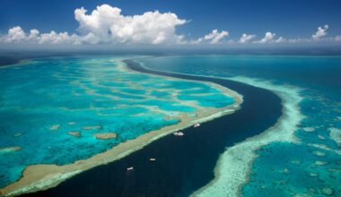Aerial image, Great Barrier Reef, Australia