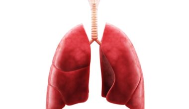 Lung-on-a-chip tech reveals how asthma permanently alters airways
