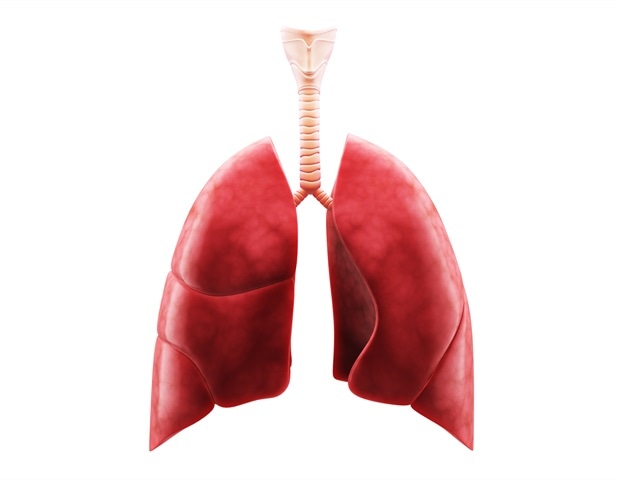 Lung-on-a-chip tech reveals how asthma permanently alters airways