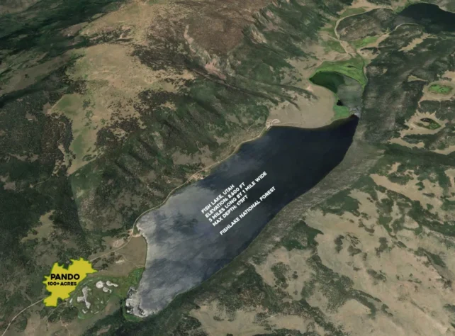 Haunting Sounds of The World's Largest Living Thing Revealed