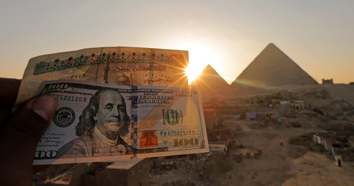 Egypt’s currency becomes world’s best performer as oil prices collapse and investors confidence return