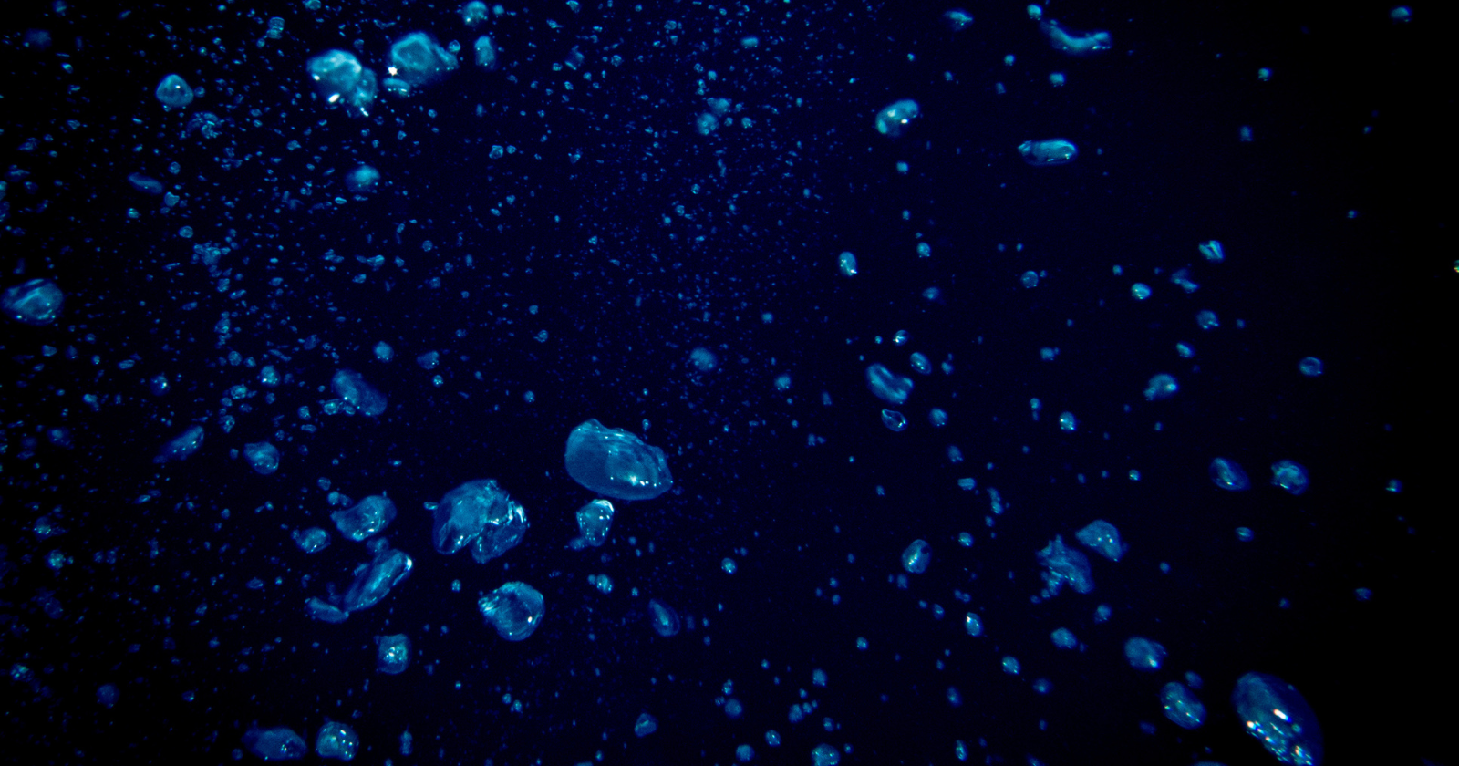 Only 0.001 percent of the deep ocean floor has ever been seen by human eyes — an area roughly the size of Rhode Island — according to a May 2025 study in Science Advances, meaning more than 99.999 percent of the seafloor covering two-thirds of our planet has never been observed by anyone, ever