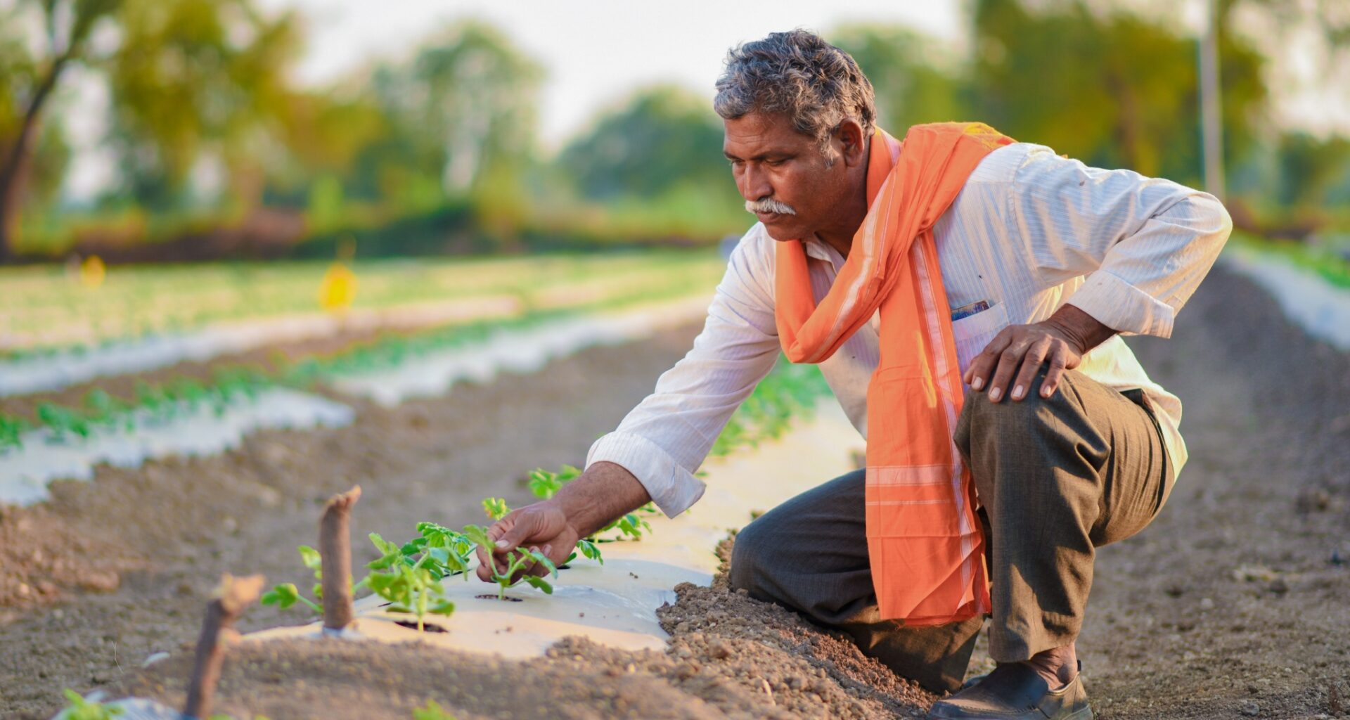 Green Growth: Data Show Freeing Economies Doesn't Harm the Environment