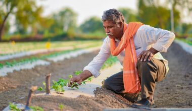 Green Growth: Data Show Freeing Economies Doesn't Harm the Environment