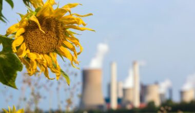 Humans Are Changing How Nature Smells, With Risks for Wildlife