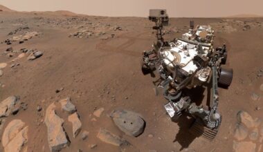 A "selfie" of the Perseverance rover shows a metal/robotic rover on a brownish bit of land with lots of rocks.