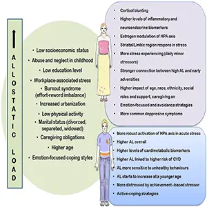 Factors related to allostatic load generally and depending on sex/gender differences. Credit: Frontiers in Medicine