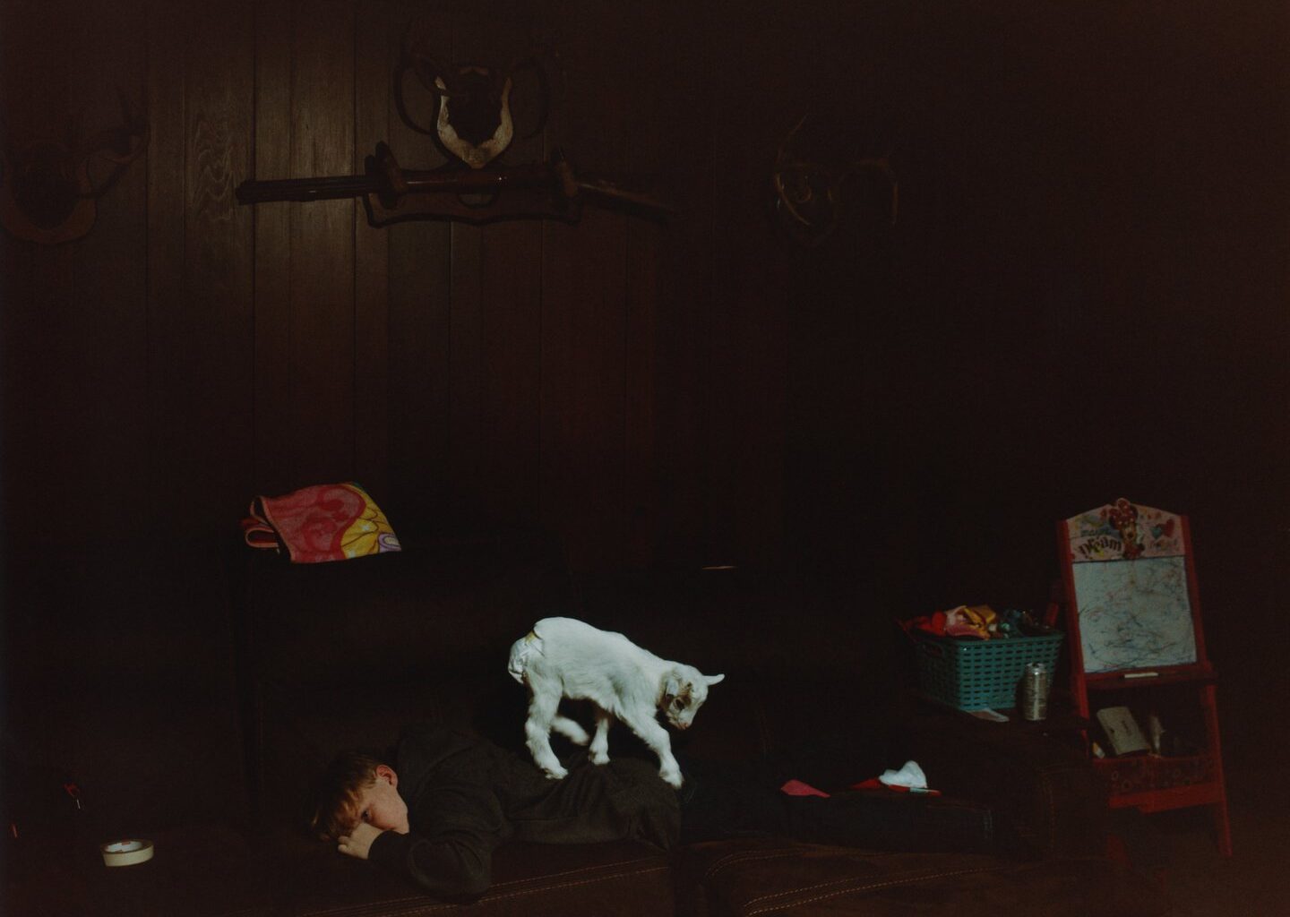 Anthony Wilson’s Mawmaw is a tender photobook on the grandmothers who became mothers again