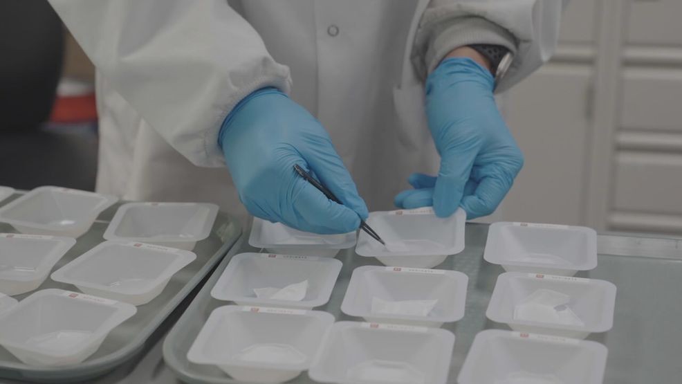 MAY 29, 2026 - A team of University of Maryland researchers says it may be on the verge of solving one of the world's biggest environmental challenges: finding a biodegradable alternative to plastic that is affordable, effective and ready for mass production. (University of Maryland)