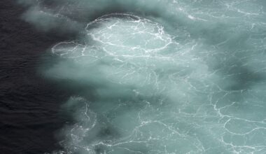 Mysterious 'cold blob' in the Atlantic is a sign of the Gulf Stream weakening — and that's bad news for the US East Coast
