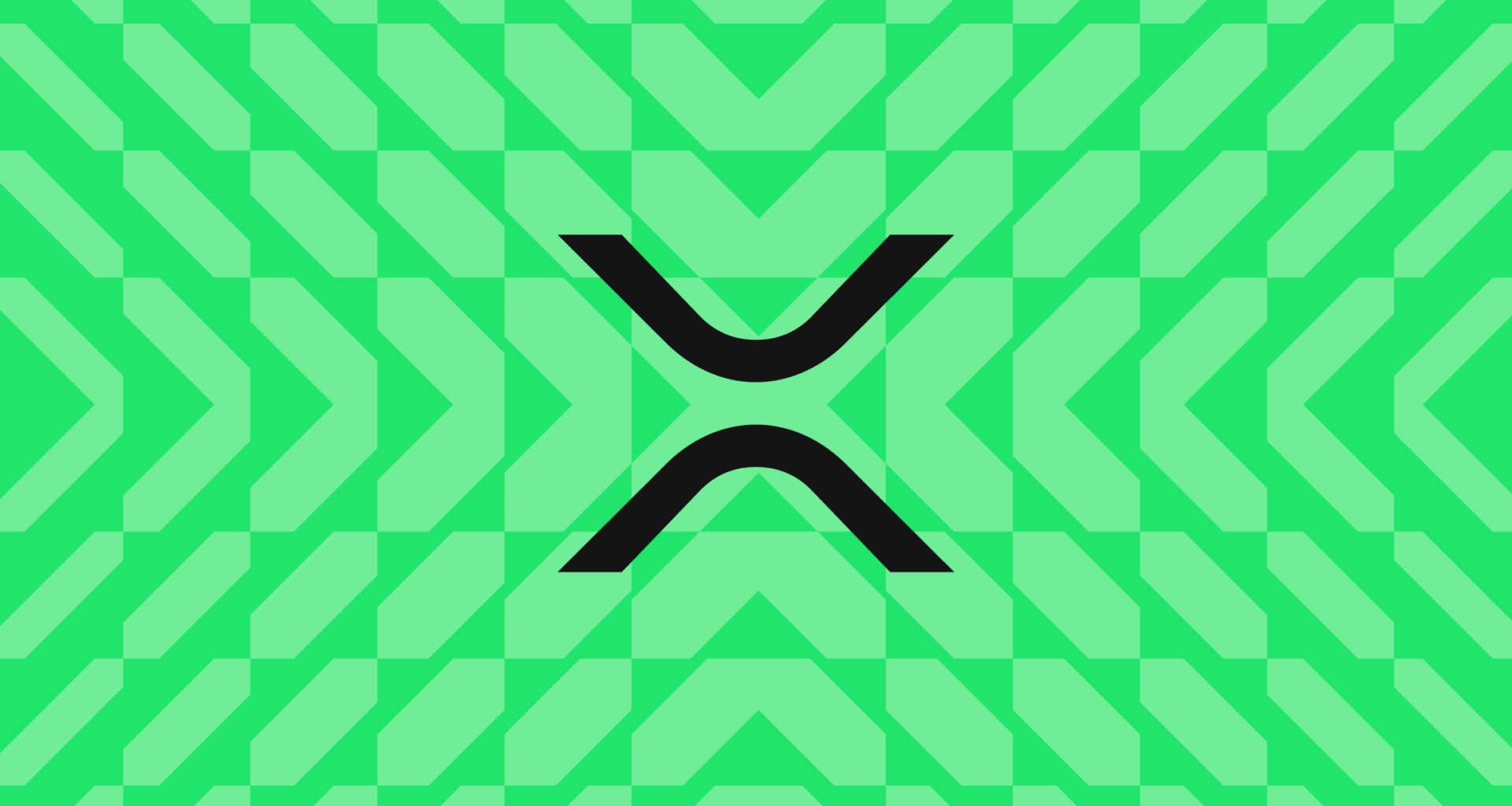 search icon