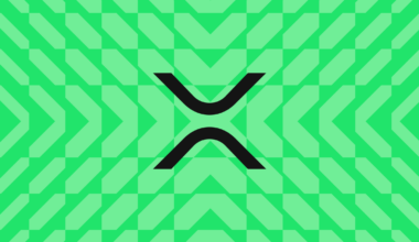 search icon