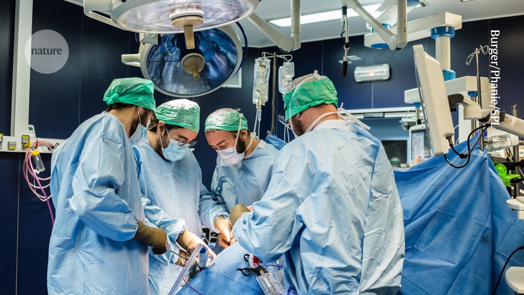 ‘Transformative’ CAR-T therapy allows three people to receive kidney transplants