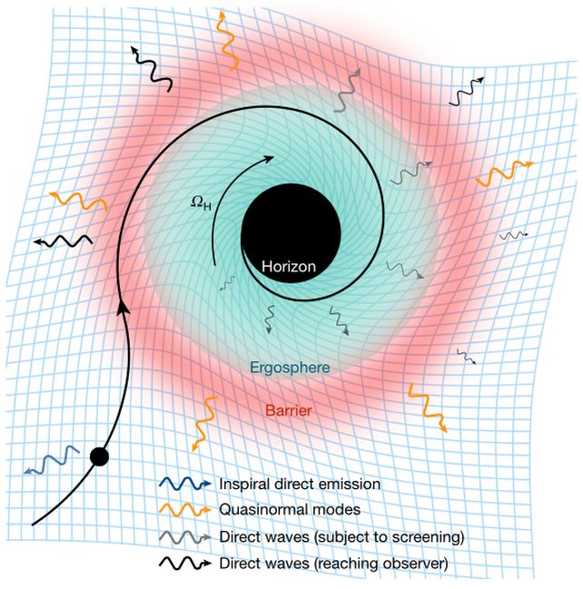 Scientists Report First Direct Signs of a Black Hole Horizon in Gravitational Waves