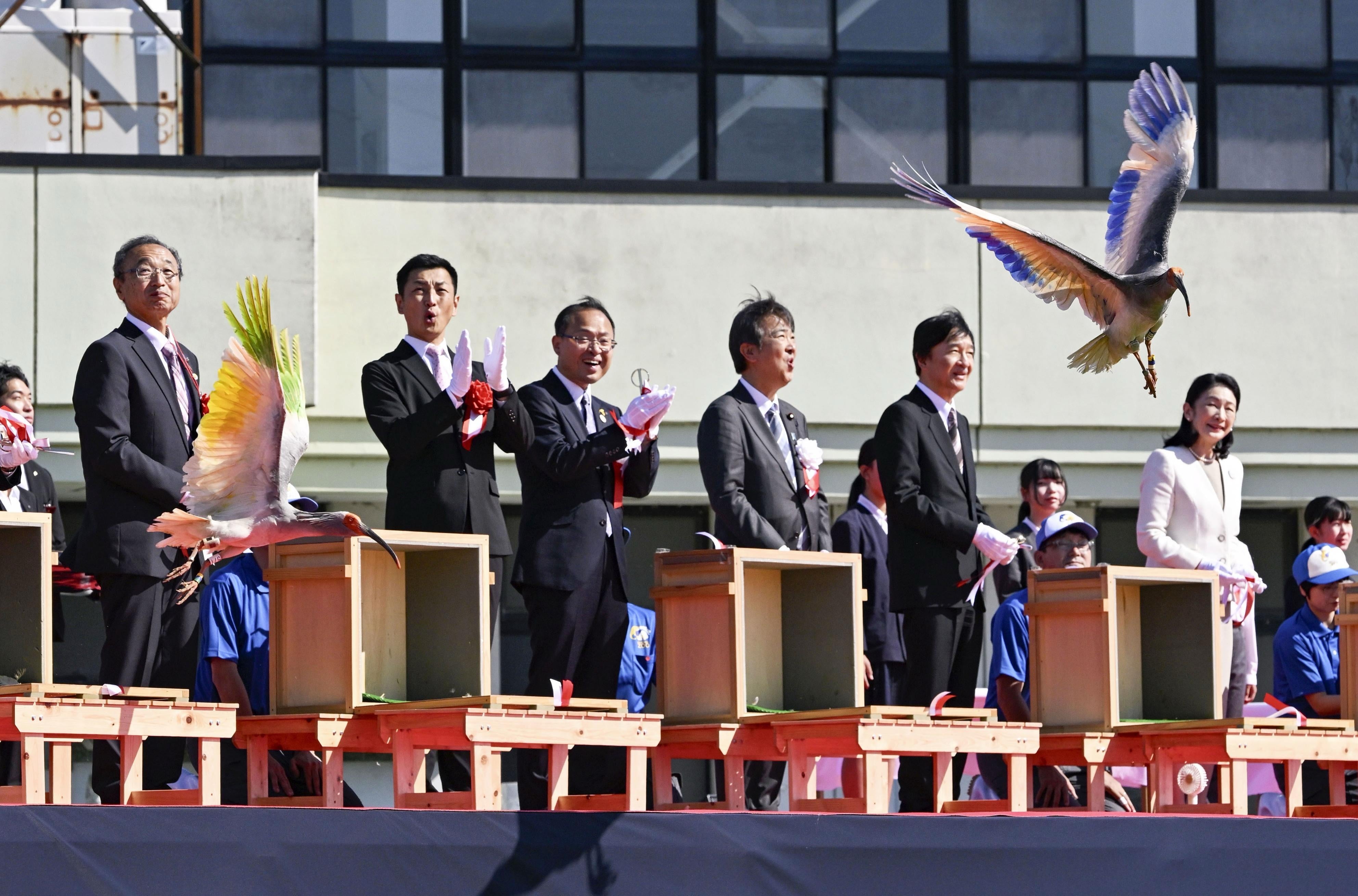 Japan's Crown Prince Akishino, second right, Crown Princess Kiko, right, and other officials watch a crested Ibis marked with painted wings released into wild during an event in Hakui, Japan