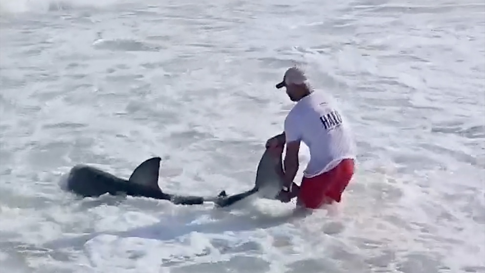 Fisherman speaks out after catching great white shark