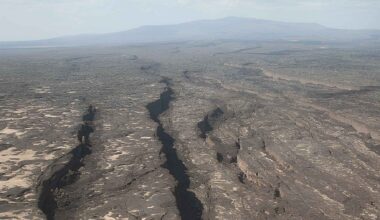 Large ground crack in a tectonic rift landscape, illustrating how Earth’s crust is pulling apart in East Africa.