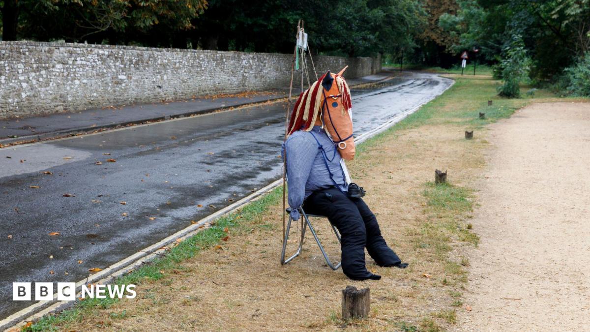 A scarecrow with a horse's head on a stool. The stool is on a grass verge at the side of a road.  A long stone wall and trees can be seen in the background.