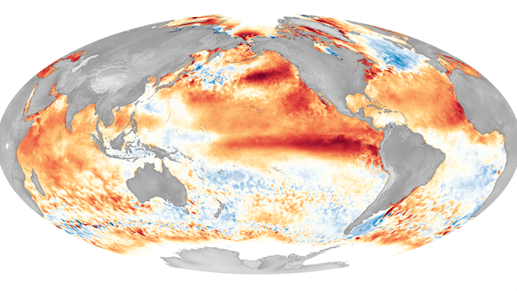 A map showing sea surface temperatures in 2016.