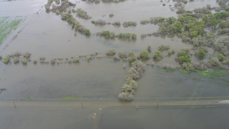 An aerial view of a flooded area, with trees and power lines visible.