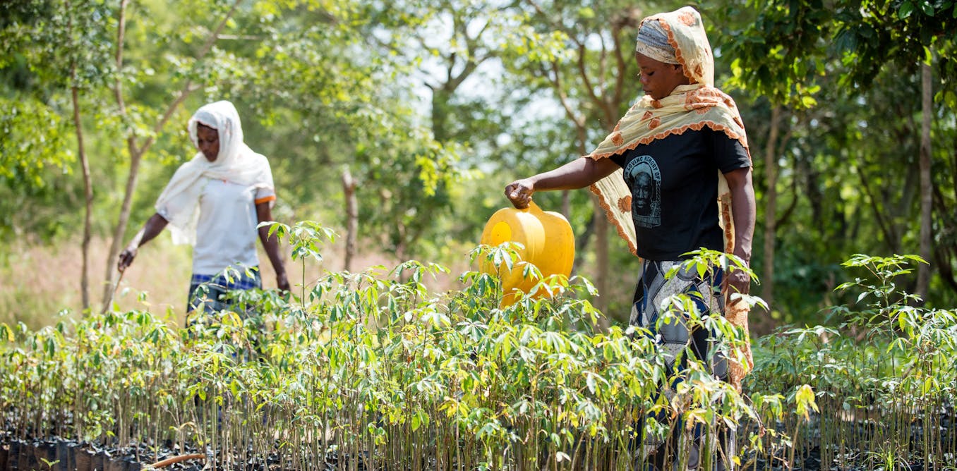 Community conservation in Ghana has evolved, but policy and funding need to catch up