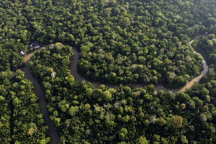 an aerial view of a river meandering through an area of thick green rainforest