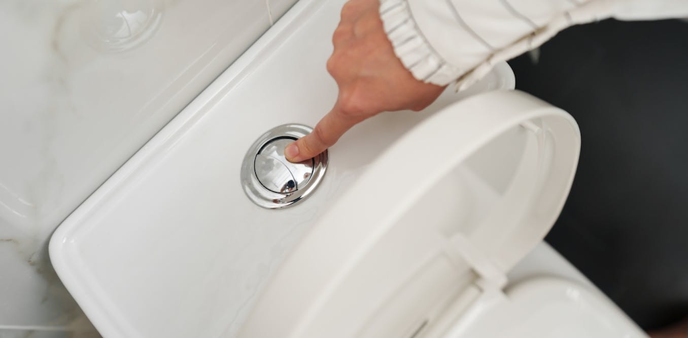 Think before you flush: expert advice on how and when to save water at home
