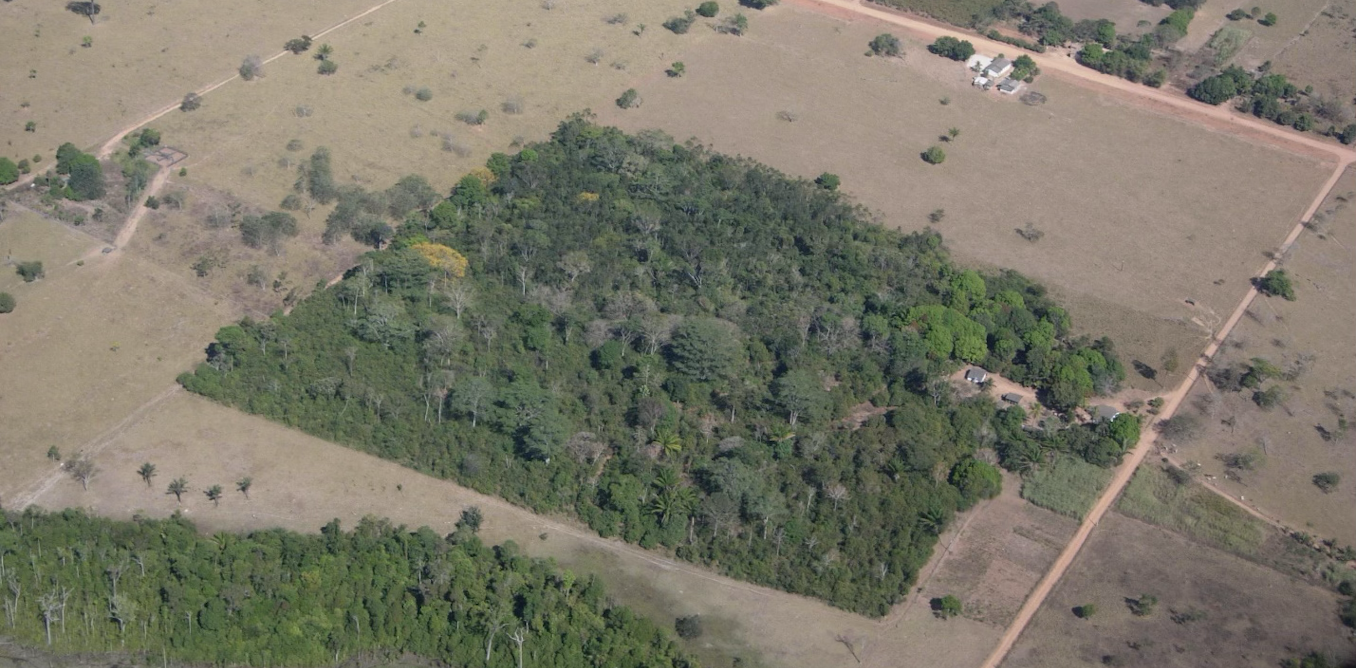 Small forest fragments can protect more birds when the surrounding landscape is more helpful