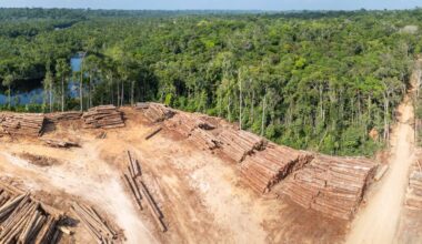 How positive tipping points may be the key to protecting tropical rainforests