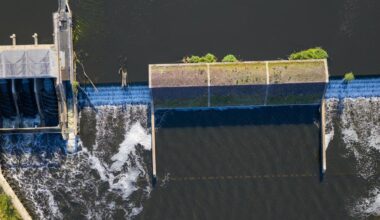 River wildlife moves freely once dams are removed – but so too can invasive species